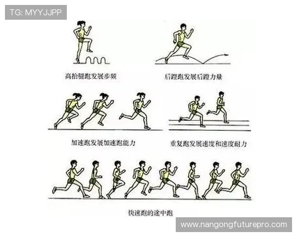 体育动作数据解读与智能分析在竞技表现优化中的应用探索